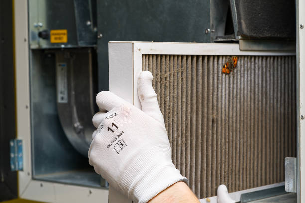 Best Air Quality Test  in Palmyra, NJ