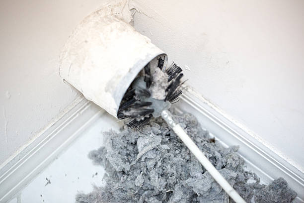 Best Professional Duct Cleaning Services  in Palmyra, NJ
